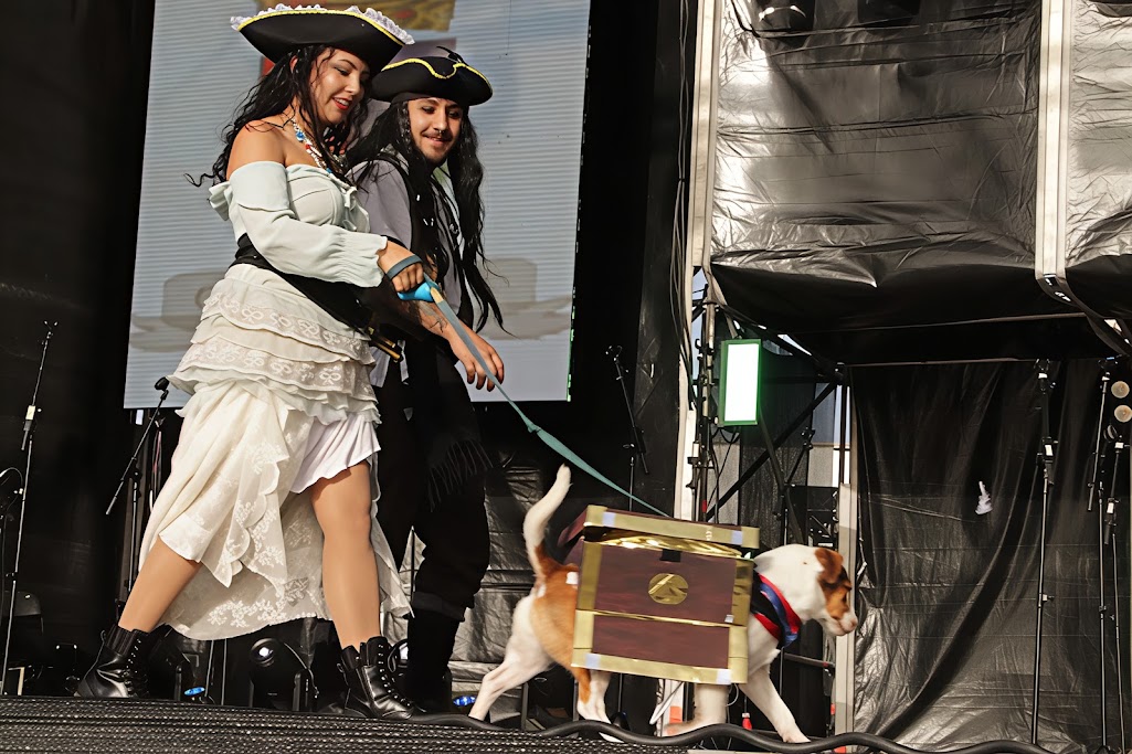 Carnaval canino de Maspalomas.