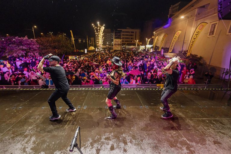 Carnaval de Noche de Las Palmas.