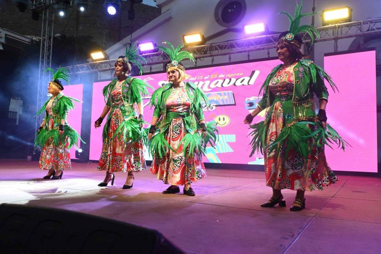 Gala Reina de Mayores del Carnaval de Los Gigantes.
