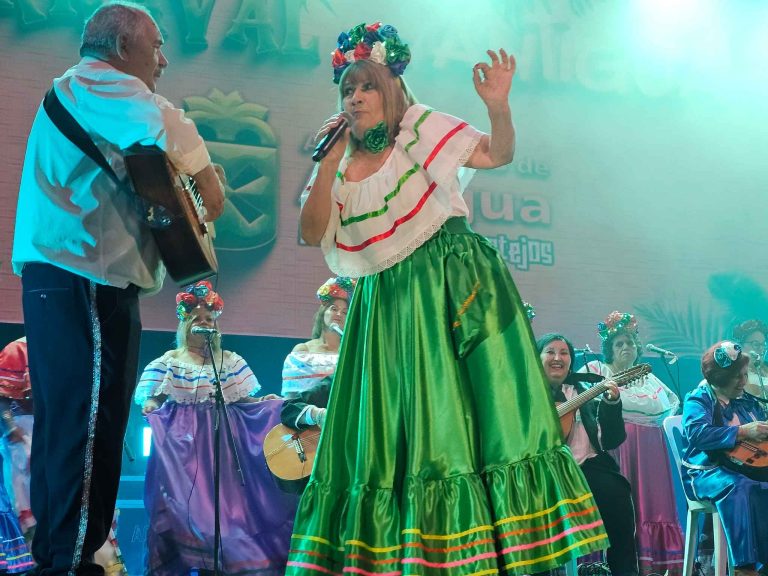 Gala Infantil del Carnaval de Antigua.