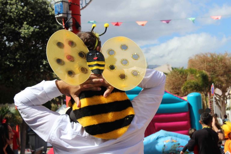 Carnaval de Día de Agüimes.